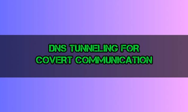 DNS Tunneling for Covert Botnet C2 Communication